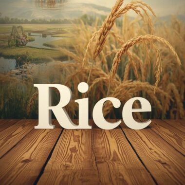 Rice